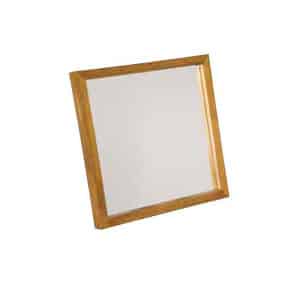 MIRROR10 Ophthalmic Surface Mirror